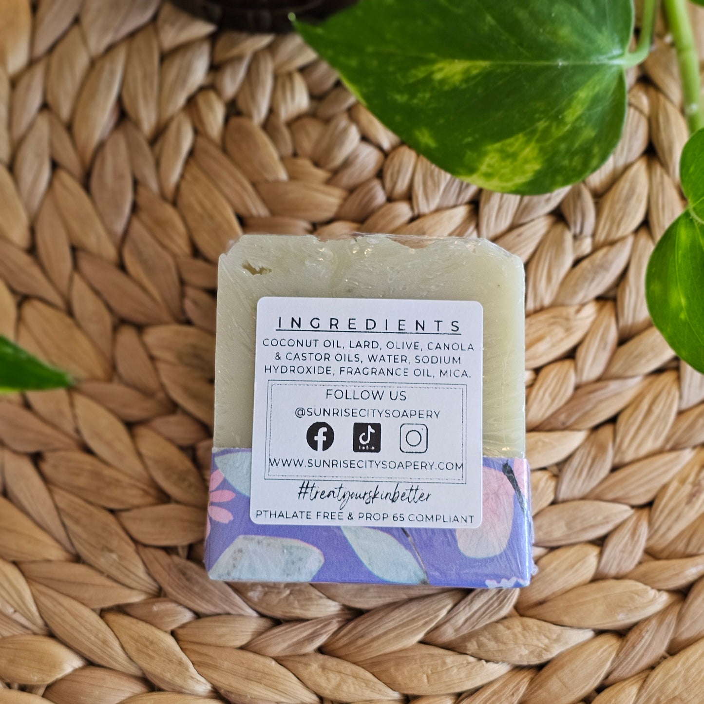 Evergreen - Handmade Bar Soap